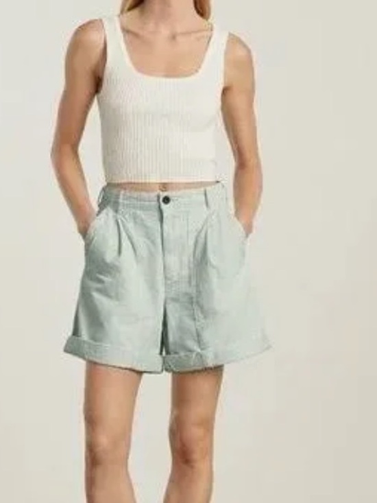 Everlane Pants - Everlane The Tourist Shorts Cotton Linen
Iced Blue Size 10 Organic